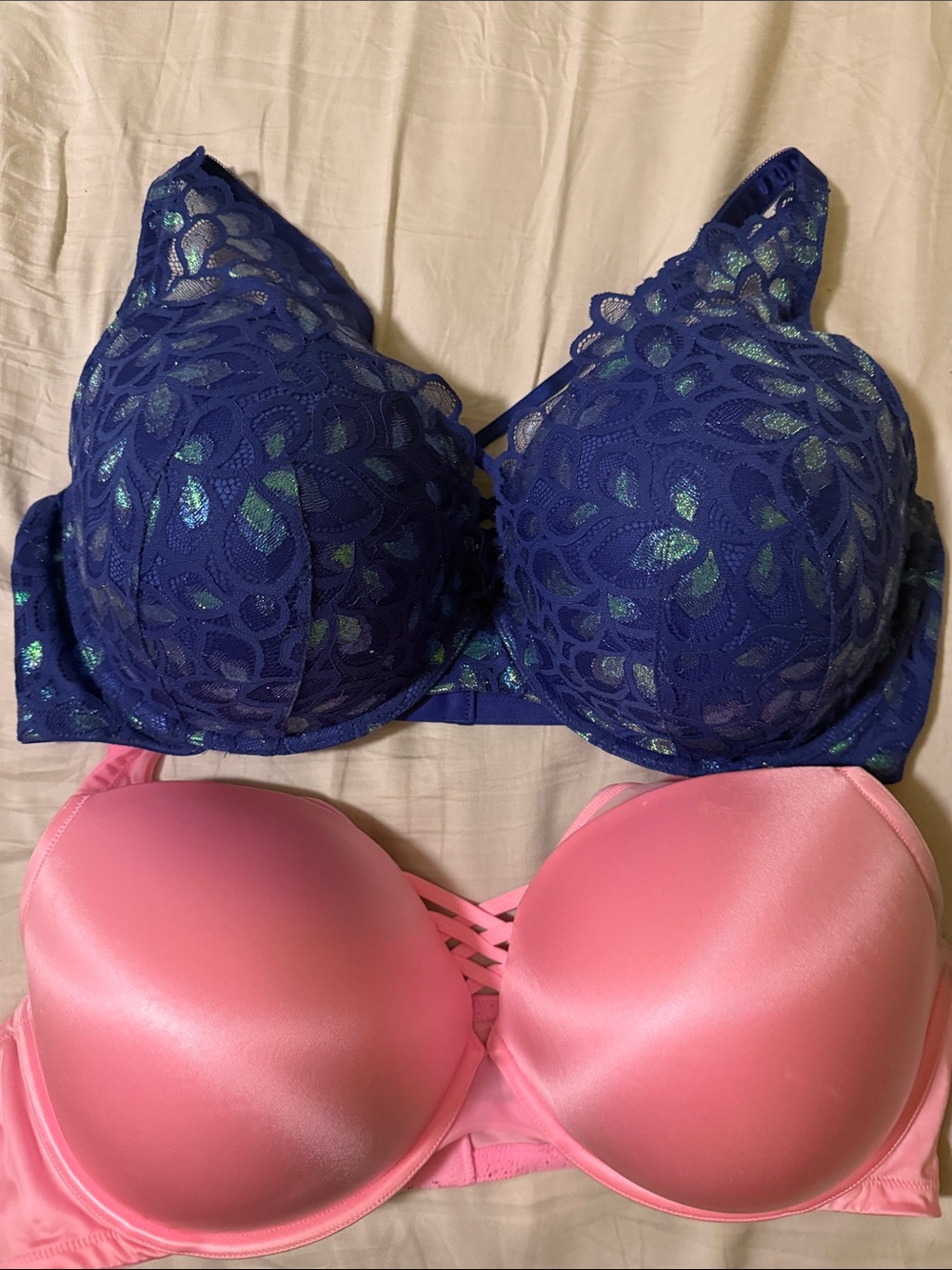 Torrid bra bundle